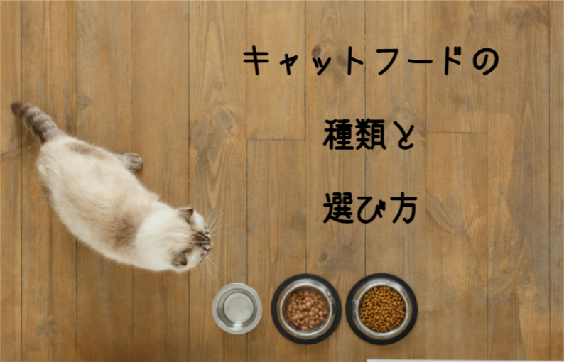 キャットフードの種類と選び方 