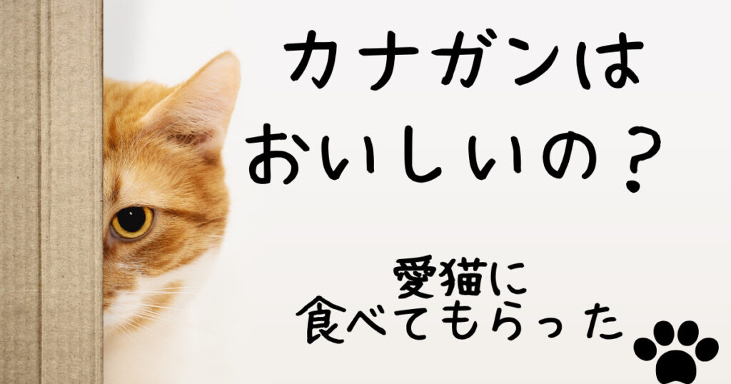 カナガンは本当に良いキャットフードなのか？肉食の猫にお肉たっぷりのカナガンを食べさせてみた