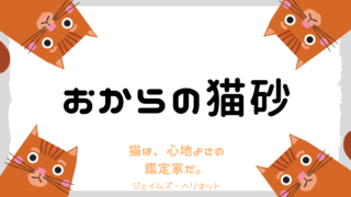 【おすすめの猫砂】おからの猫砂を選ぶならどれにする？ 